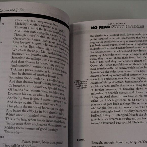 No Fear Shakespeare Romeo and Juliet by William Shakespeare and SparkNotes 2003 - Picture 8 of 9
